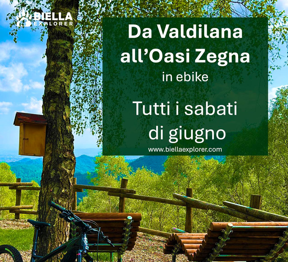https://www.biellaexplorer.com/